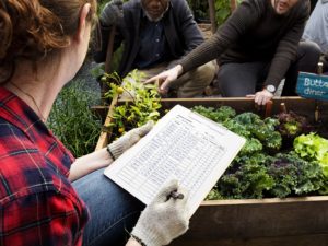 Non-Profit Organizations and FarmBox Foods