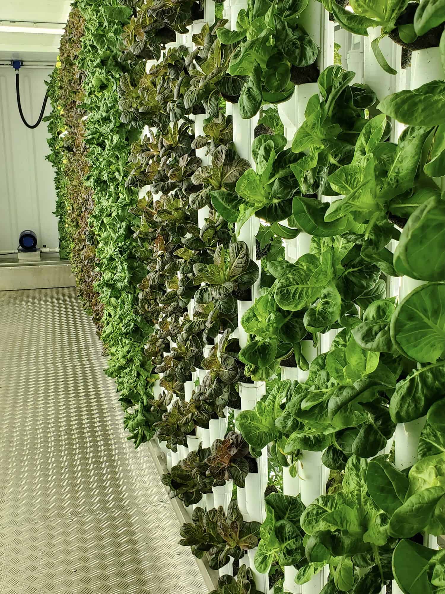 Farming Solutions for a Sustainable (and Less Scary) Future