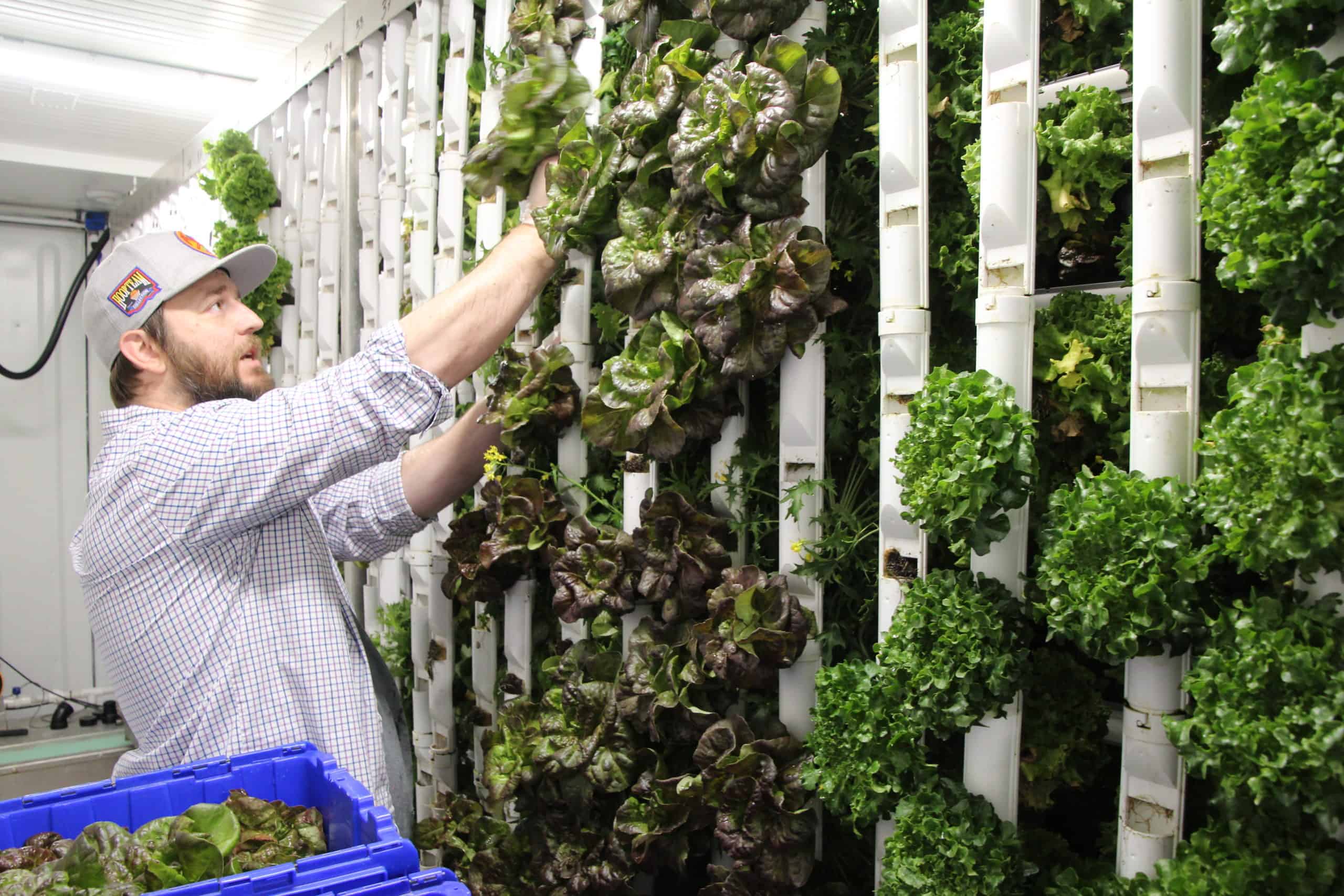 Natural Grocers Growing Its GardenBox Program