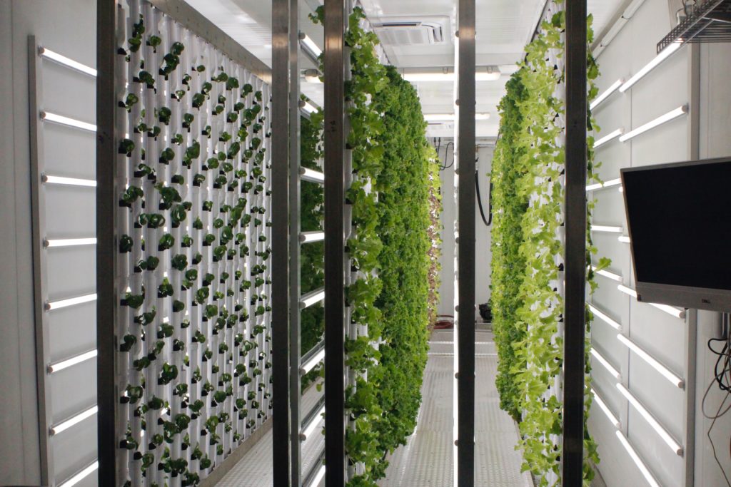 hydroponic container farms - community supported agriculture