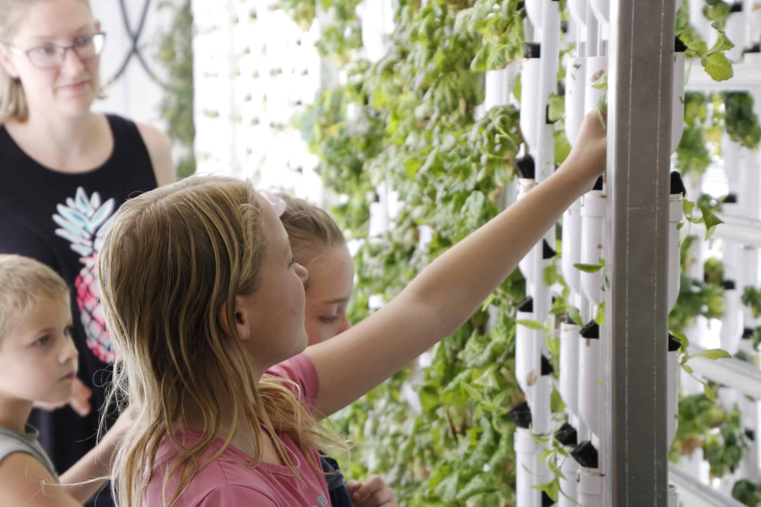 Container Farms on School Campuses