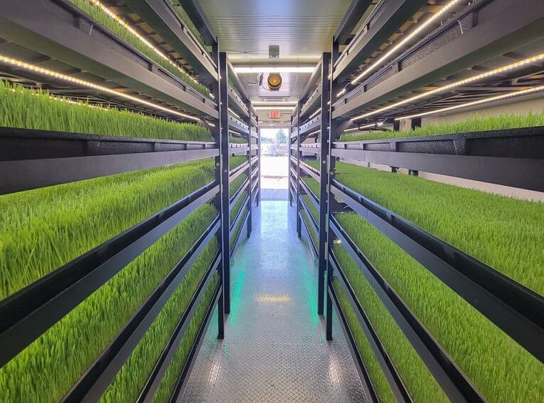FarmBox Foods launches indoor farm that grows livestock feed