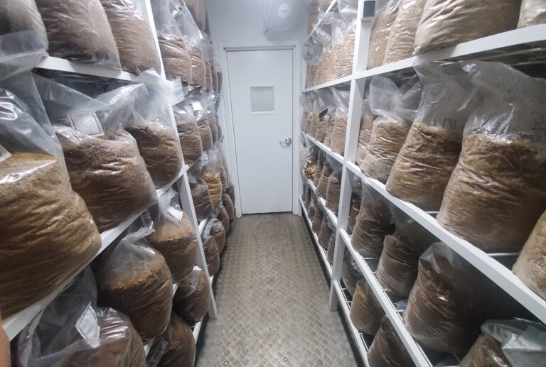 Gourmet Mushroom Farm World's First Shipping Container Mushrooms