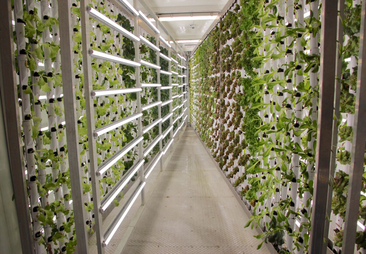 Container Farming an Ideal Career Path for Military Veterans