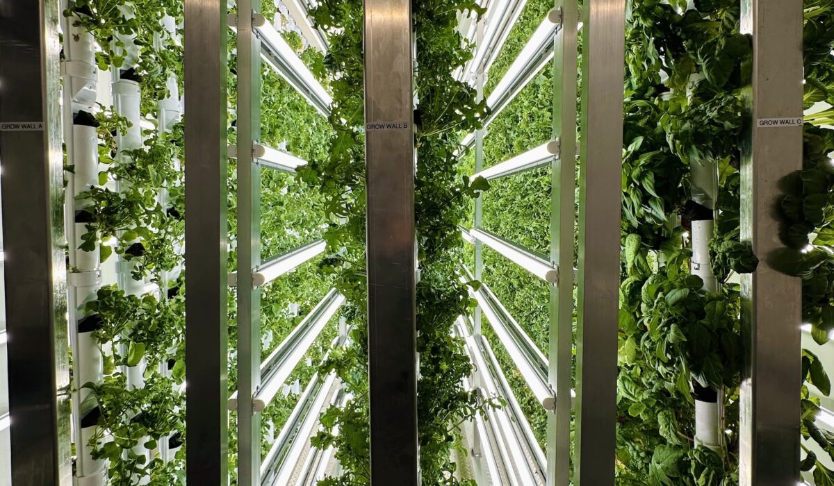 Vote for the Vertical Hydroponic Farm as the ‘Coolest Thing Made in Colorado’