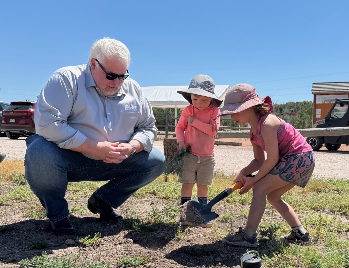 Hydroponically grown trees planted by CORE Electric Cooperative