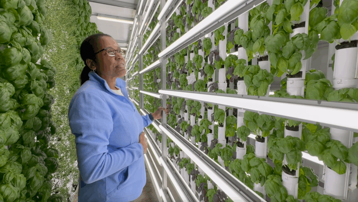 Veteran-Owned Vertical Farm Carries on Family Ag Tradition