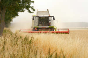 A combine driving through a field of wheat.