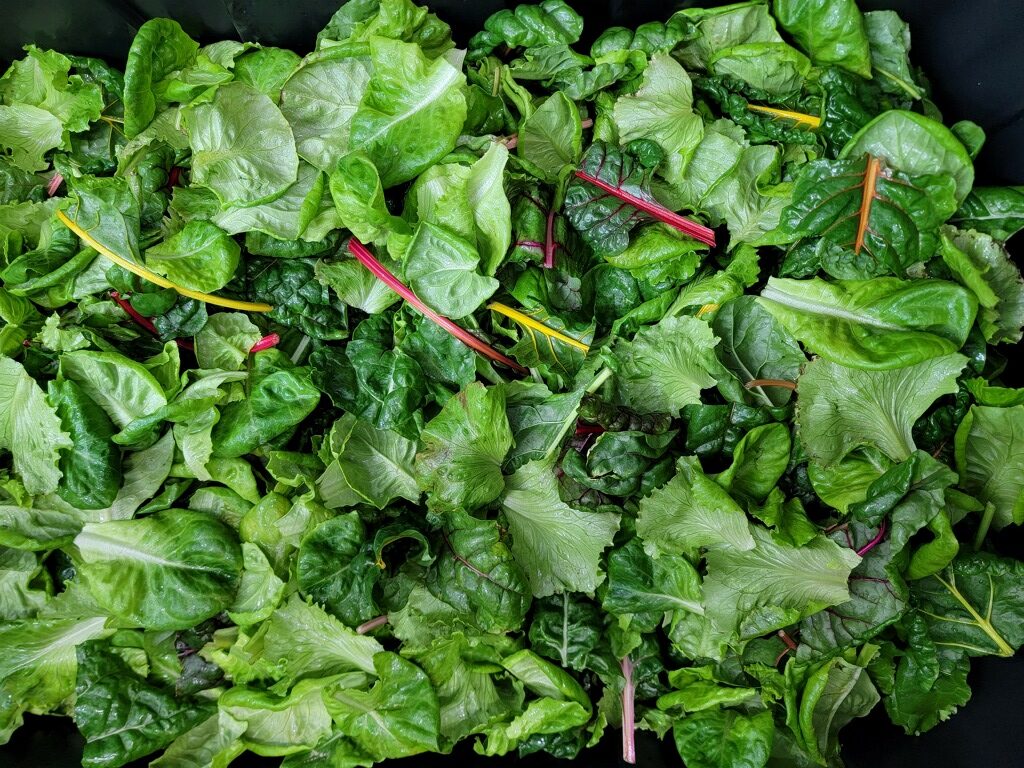 Your Salad Took a Road Trip: The Surprising Numbers Behind America's Food Transportation System